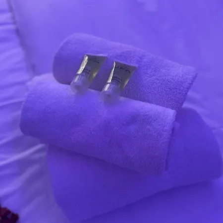 Ng Prestige - Lille I Winoc - Balneo - Netflix - Wifi *