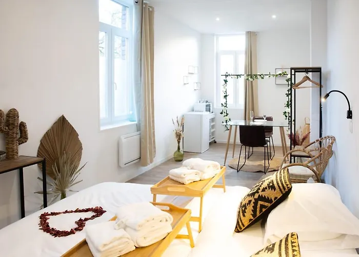 Lägenhet Ng Prestige - Lille I Winoc - Balneo - Netflix - Wifi *